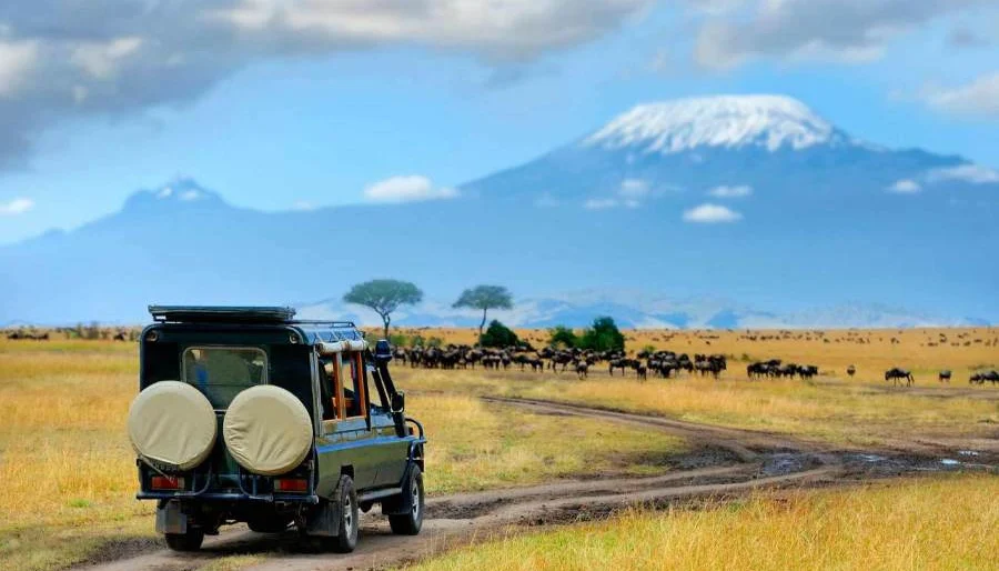 How to Rent a Car in Tanzania Easily: Complete 2026 Guide